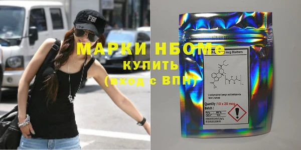 сатива Бородино