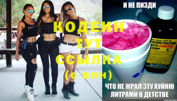 сатива Бородино