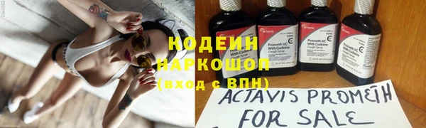 сатива Бородино