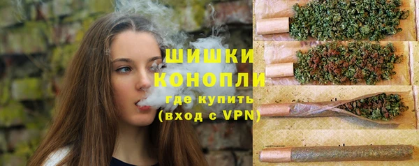 сатива Бородино