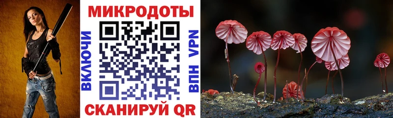 Псилоцибиновые грибы GOLDEN TEACHER  Буйнакск 