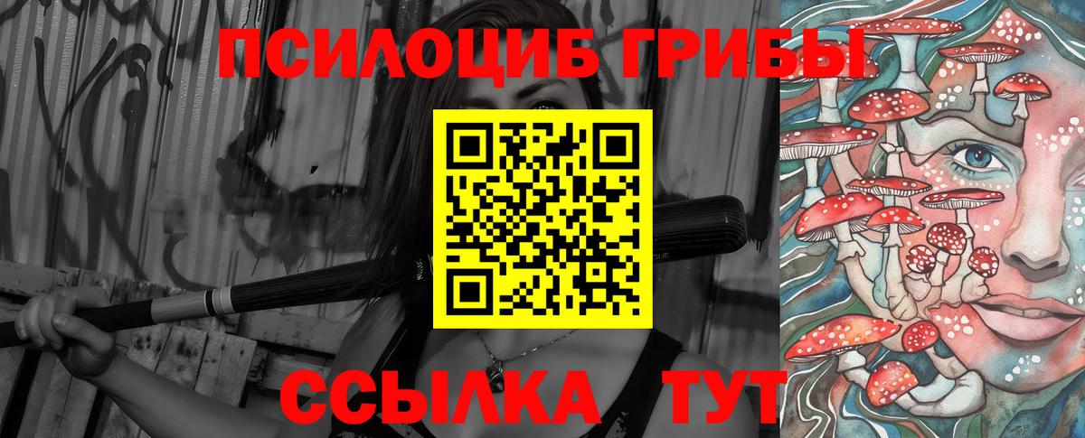 Псилоцибиновые грибы MAGIC MUSHROOMS Буйнакск